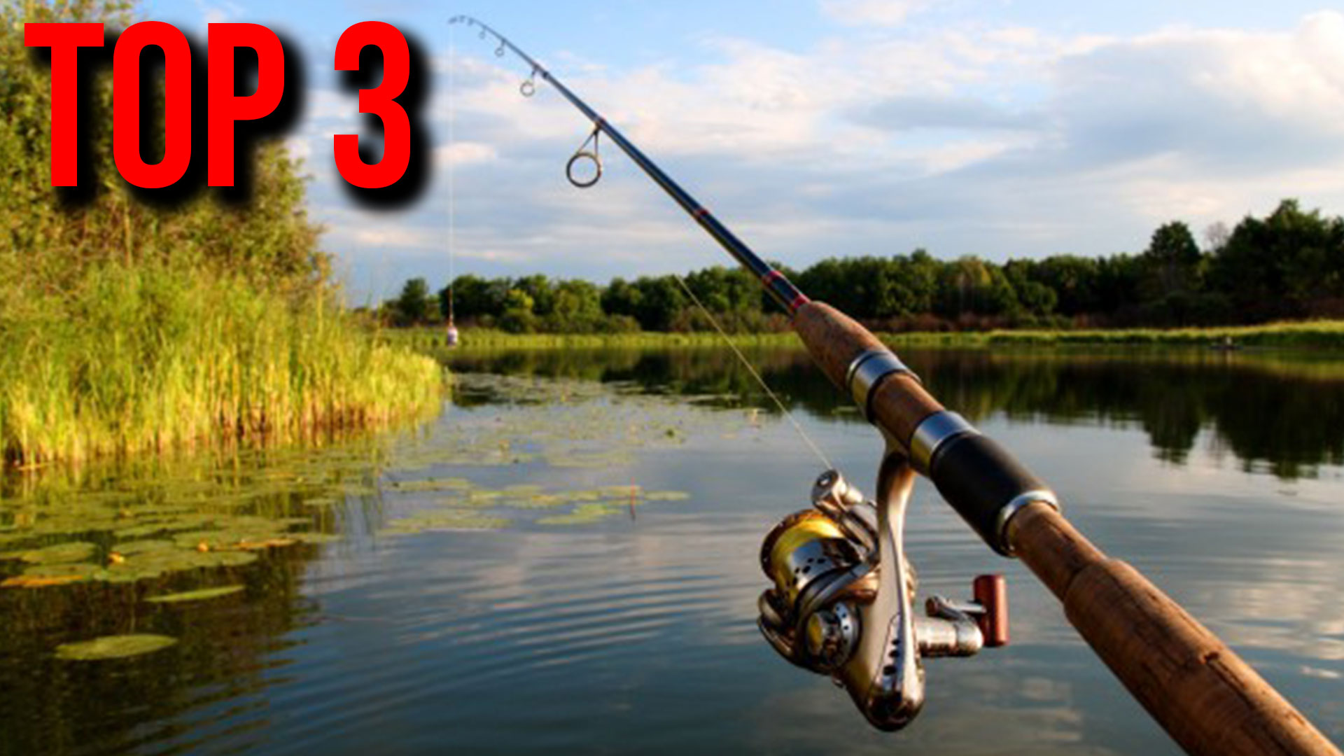 LZH FISHING Canne à Pêche Ultra-Dur 8-12 M Ultra-Léger Pôle à Carpe Canne à Pêche Durable Léger