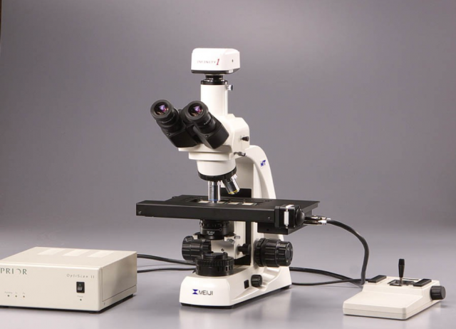 Microscopes numériques
