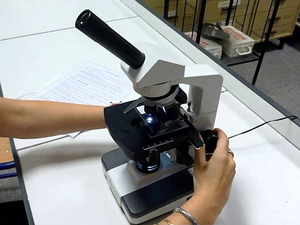 Microscopes optique